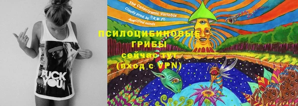 экстази Богданович