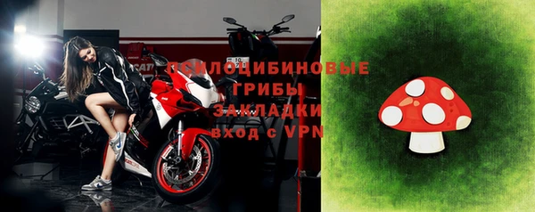 mdpv Богородицк
