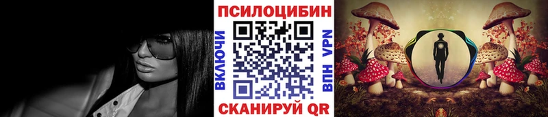 Псилоцибиновые грибы Psilocybe  Купить закладки  Мещовск 